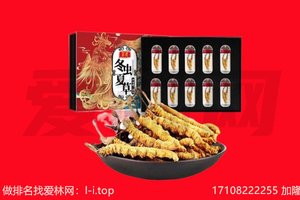 双湖县回收虫草.jpg